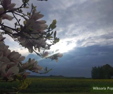 2021.05.24 - WIOSNA W OBIEKTYWIE