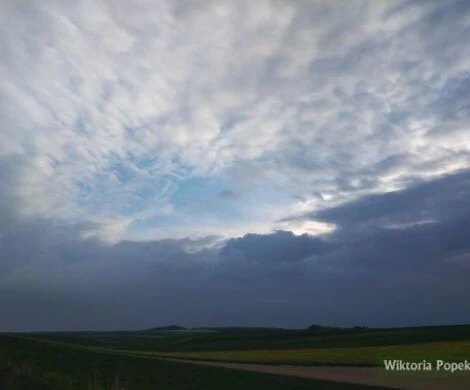 2021.05.24 - WIOSNA W OBIEKTYWIE