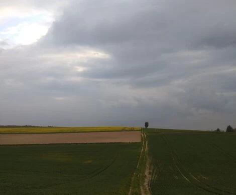 2021.05.24 - WIOSNA W OBIEKTYWIE