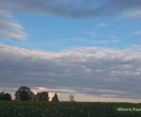 2021.05.24 - WIOSNA W OBIEKTYWIE