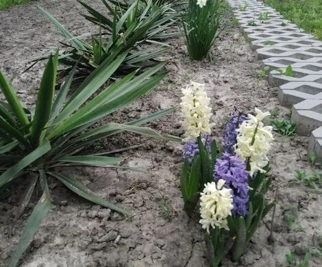 2021.05.24 - WIOSNA W OBIEKTYWIE