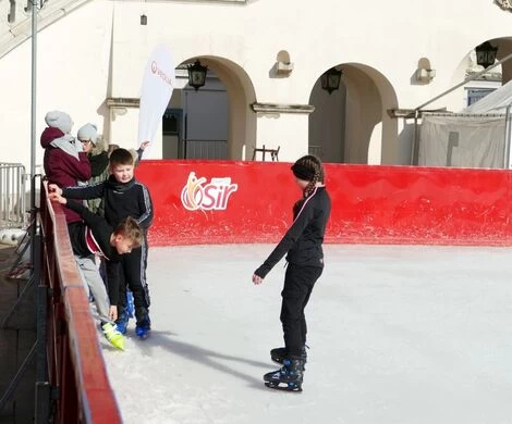 2022.02.24 - WYJAZD NA LODOWISKO