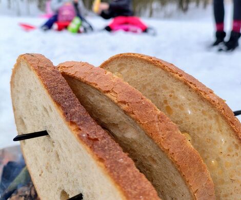 2026.02.18 - WYJŚCIE NA SANKI