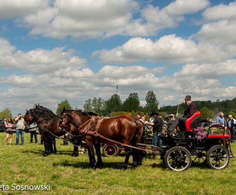 2026.05.10 - 10. ZAWODY ZAPRZĘGÓW KONNYCH (fot. Elżbieta Sosnowski)