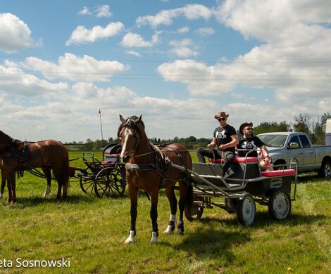 2026.05.10 - 10. ZAWODY ZAPRZĘGÓW KONNYCH (fot. Elżbieta Sosnowski)