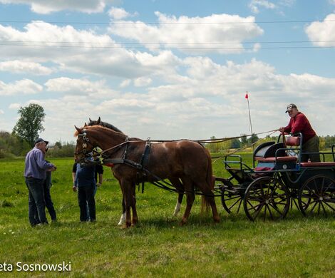 2026.05.10 - 10. ZAWODY ZAPRZĘGÓW KONNYCH (fot. Elżbieta Sosnowski)