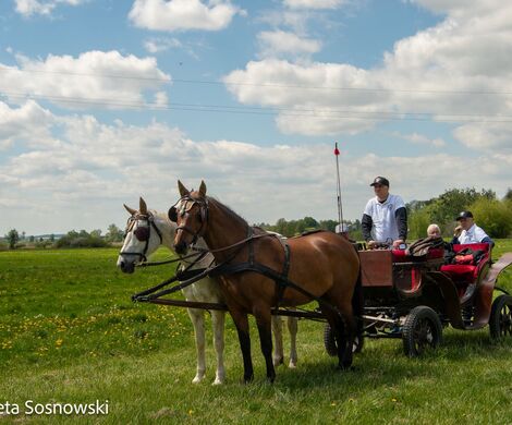 2026.05.10 - 10. ZAWODY ZAPRZĘGÓW KONNYCH (fot. Elżbieta Sosnowski)