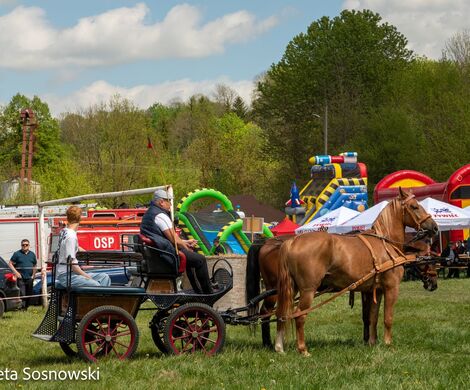 2026.05.10 - 10. ZAWODY ZAPRZĘGÓW KONNYCH (fot. Elżbieta Sosnowski)