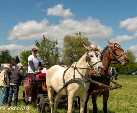 2026.05.10 - 10. ZAWODY ZAPRZĘGÓW KONNYCH (fot. Elżbieta Sosnowski)