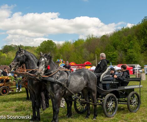 2026.05.10 - 10. ZAWODY ZAPRZĘGÓW KONNYCH (fot. Elżbieta Sosnowski)