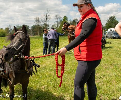 2026.05.10 - 10. ZAWODY ZAPRZĘGÓW KONNYCH (fot. Elżbieta Sosnowski)