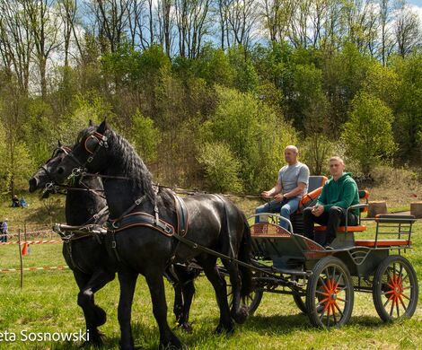 2026.05.10 - 10. ZAWODY ZAPRZĘGÓW KONNYCH (fot. Elżbieta Sosnowski)