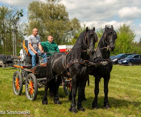 2026.05.10 - 10. ZAWODY ZAPRZĘGÓW KONNYCH (fot. Elżbieta Sosnowski)