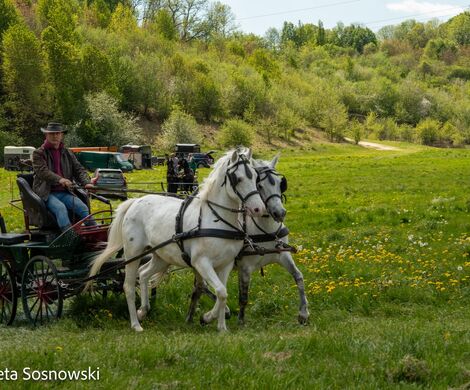 2026.05.10 - 10. ZAWODY ZAPRZĘGÓW KONNYCH (fot. Elżbieta Sosnowski)