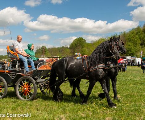 2026.05.10 - 10. ZAWODY ZAPRZĘGÓW KONNYCH (fot. Elżbieta Sosnowski)