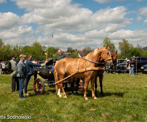 2026.05.10 - 10. ZAWODY ZAPRZĘGÓW KONNYCH (fot. Elżbieta Sosnowski)