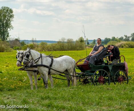 2026.05.10 - 10. ZAWODY ZAPRZĘGÓW KONNYCH (fot. Elżbieta Sosnowski)