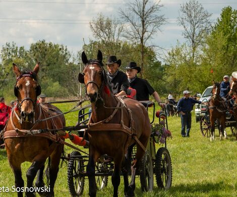2026.05.10 - 10. ZAWODY ZAPRZĘGÓW KONNYCH (fot. Elżbieta Sosnowski)