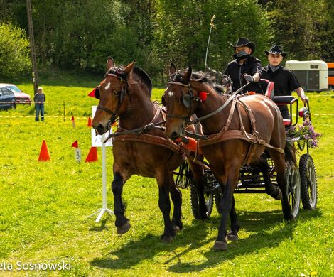 2026.05.10 - 10. ZAWODY ZAPRZĘGÓW KONNYCH (fot. Elżbieta Sosnowski)