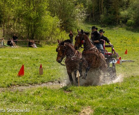 2026.05.10 - 10. ZAWODY ZAPRZĘGÓW KONNYCH (fot. Elżbieta Sosnowski)