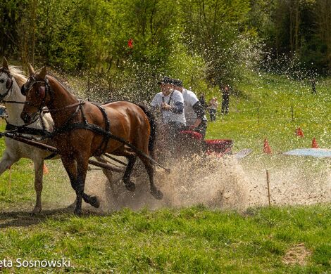 2026.05.10 - 10. ZAWODY ZAPRZĘGÓW KONNYCH (fot. Elżbieta Sosnowski)
