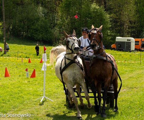 2026.05.10 - 10. ZAWODY ZAPRZĘGÓW KONNYCH (fot. Elżbieta Sosnowski)
