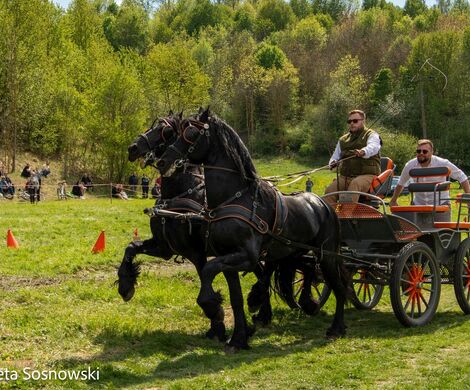 2026.05.10 - 10. ZAWODY ZAPRZĘGÓW KONNYCH (fot. Elżbieta Sosnowski)