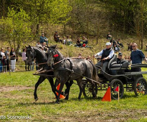 2026.05.10 - 10. ZAWODY ZAPRZĘGÓW KONNYCH (fot. Elżbieta Sosnowski)