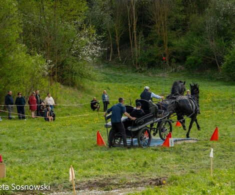 2026.05.10 - 10. ZAWODY ZAPRZĘGÓW KONNYCH (fot. Elżbieta Sosnowski)