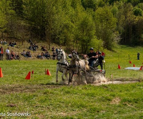 2026.05.10 - 10. ZAWODY ZAPRZĘGÓW KONNYCH (fot. Elżbieta Sosnowski)