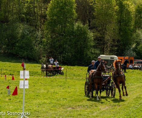 2026.05.10 - 10. ZAWODY ZAPRZĘGÓW KONNYCH (fot. Elżbieta Sosnowski)