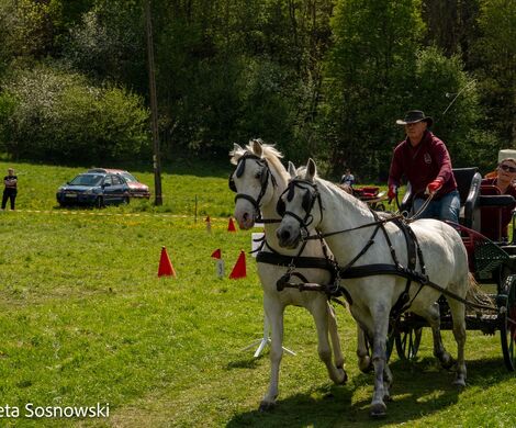 2026.05.10 - 10. ZAWODY ZAPRZĘGÓW KONNYCH (fot. Elżbieta Sosnowski)