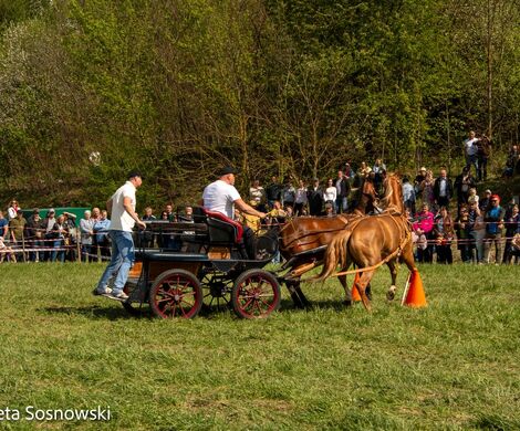 2026.05.10 - 10. ZAWODY ZAPRZĘGÓW KONNYCH (fot. Elżbieta Sosnowski)