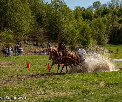 2026.05.10 - 10. ZAWODY ZAPRZĘGÓW KONNYCH (fot. Elżbieta Sosnowski)