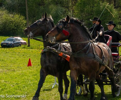 2026.05.10 - 10. ZAWODY ZAPRZĘGÓW KONNYCH (fot. Elżbieta Sosnowski)
