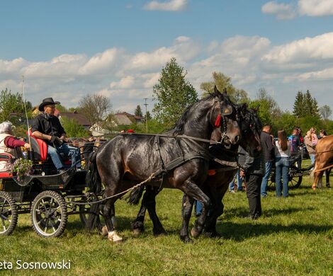 2026.05.10 - 10. ZAWODY ZAPRZĘGÓW KONNYCH (fot. Elżbieta Sosnowski)