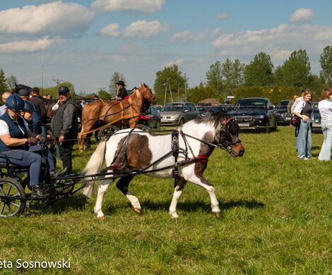 2026.05.10 - 10. ZAWODY ZAPRZĘGÓW KONNYCH (fot. Elżbieta Sosnowski)