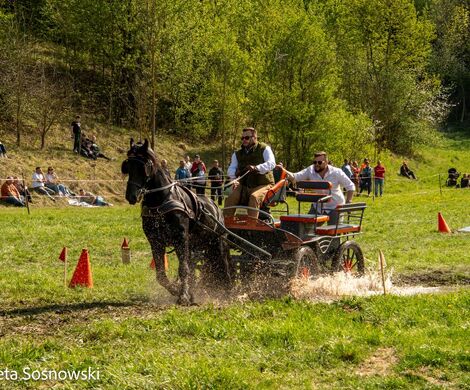 2026.05.10 - 10. ZAWODY ZAPRZĘGÓW KONNYCH (fot. Elżbieta Sosnowski)