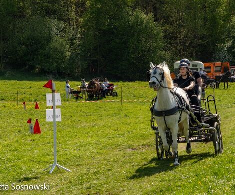 2026.05.10 - 10. ZAWODY ZAPRZĘGÓW KONNYCH (fot. Elżbieta Sosnowski)