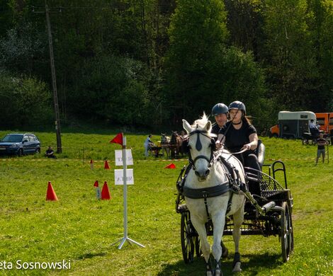 2026.05.10 - 10. ZAWODY ZAPRZĘGÓW KONNYCH (fot. Elżbieta Sosnowski)