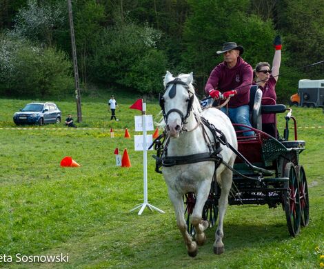 2026.05.10 - 10. ZAWODY ZAPRZĘGÓW KONNYCH (fot. Elżbieta Sosnowski)