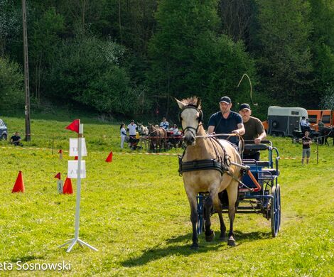 2026.05.10 - 10. ZAWODY ZAPRZĘGÓW KONNYCH (fot. Elżbieta Sosnowski)