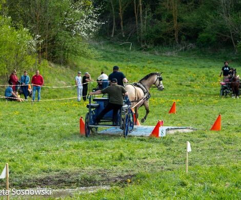 2026.05.10 - 10. ZAWODY ZAPRZĘGÓW KONNYCH (fot. Elżbieta Sosnowski)