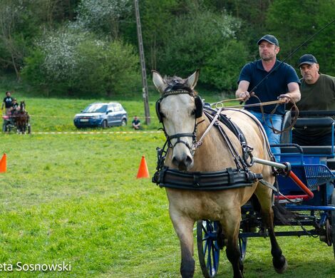 2026.05.10 - 10. ZAWODY ZAPRZĘGÓW KONNYCH (fot. Elżbieta Sosnowski)