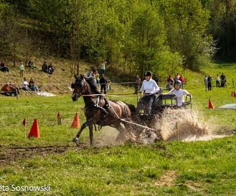 2026.05.10 - 10. ZAWODY ZAPRZĘGÓW KONNYCH (fot. Elżbieta Sosnowski)