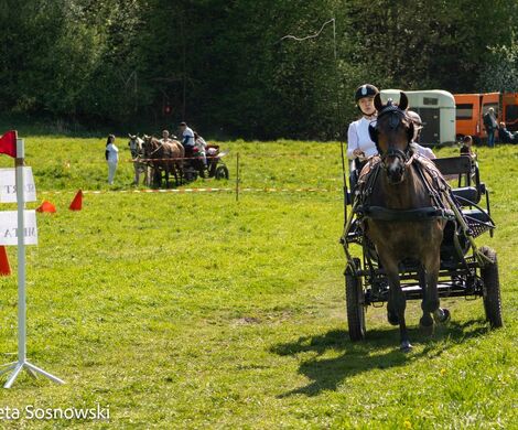 2026.05.10 - 10. ZAWODY ZAPRZĘGÓW KONNYCH (fot. Elżbieta Sosnowski)