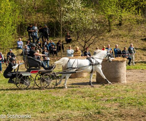2026.05.10 - 10. ZAWODY ZAPRZĘGÓW KONNYCH (fot. Elżbieta Sosnowski)