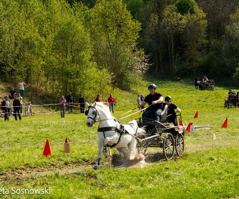 2026.05.10 - 10. ZAWODY ZAPRZĘGÓW KONNYCH (fot. Elżbieta Sosnowski)