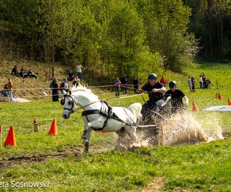 2026.05.10 - 10. ZAWODY ZAPRZĘGÓW KONNYCH (fot. Elżbieta Sosnowski)