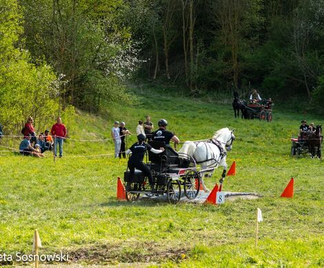 2026.05.10 - 10. ZAWODY ZAPRZĘGÓW KONNYCH (fot. Elżbieta Sosnowski)